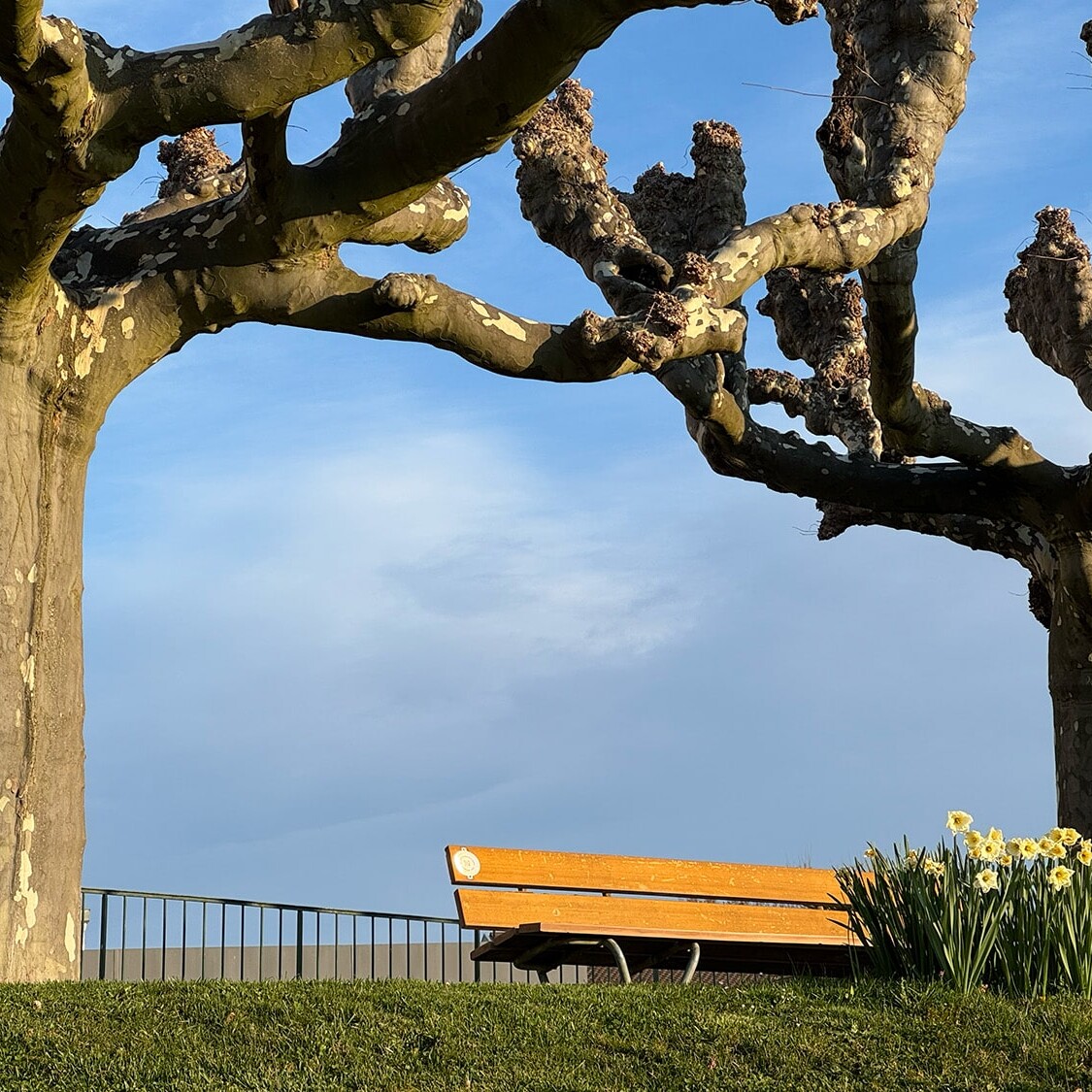 Medaille Genius Loci sur un banc public en Suisse